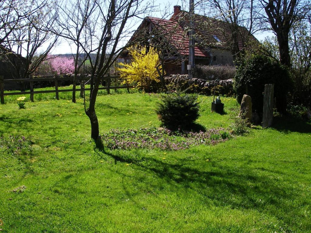 Le Trot'In Chair Bed & Breakfast Martigny-le-Comte Екстериор снимка